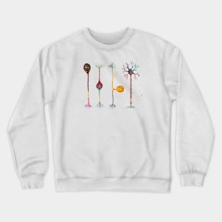 Four types of neurons Crewneck Sweatshirt